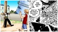 This is among One Piece's most striking parallels (Image via Shueisha)